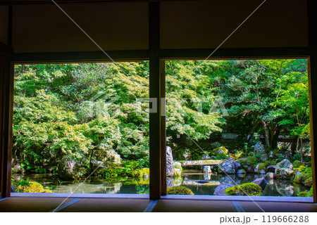 【京都風景】蓮華寺　洛北の静かな池泉式鑑賞庭園 119666288