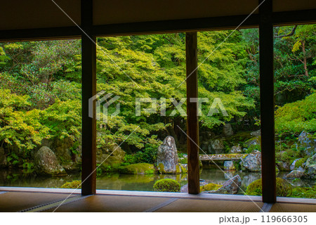 【京都風景】蓮華寺　洛北の静かな池泉式鑑賞庭園 119666305