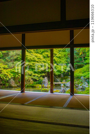 【京都風景】蓮華寺 洛北の静かな池泉式鑑賞庭園 【京都風景】蓮華寺 洛北の静かな池泉式鑑賞庭園 119666310
