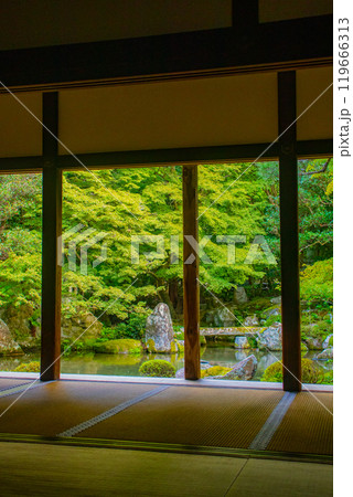 【京都風景】蓮華寺 洛北の静かな池泉式鑑賞庭園 【京都風景】蓮華寺 洛北の静かな池泉式鑑賞庭園 119666313
