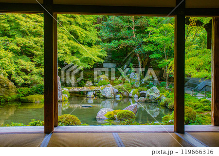 【京都風景】蓮華寺　洛北の静かな池泉式鑑賞庭園 119666316