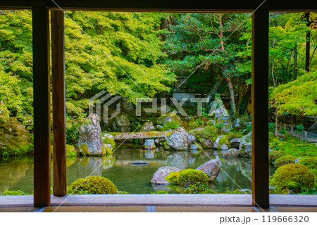 【京都風景】蓮華寺 洛北の静かな池泉式鑑賞庭園 【京都風景】蓮華寺 洛北の静かな池泉式鑑賞庭園 119666320