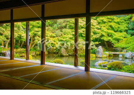 【京都風景】蓮華寺　洛北の静かな池泉式鑑賞庭園 119666325