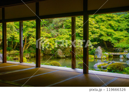 【京都風景】蓮華寺 洛北の静かな池泉式鑑賞庭園 【京都風景】蓮華寺 洛北の静かな池泉式鑑賞庭園 119666326
