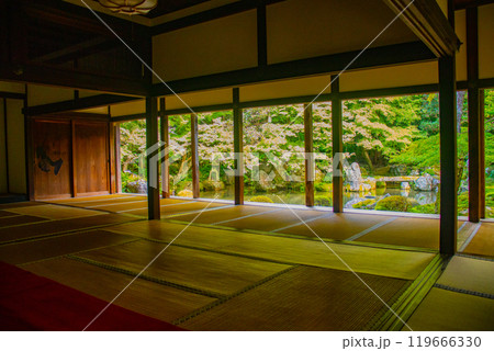 【京都風景】蓮華寺 洛北の静かな池泉式鑑賞庭園 【京都風景】蓮華寺 洛北の静かな池泉式鑑賞庭園 119666330