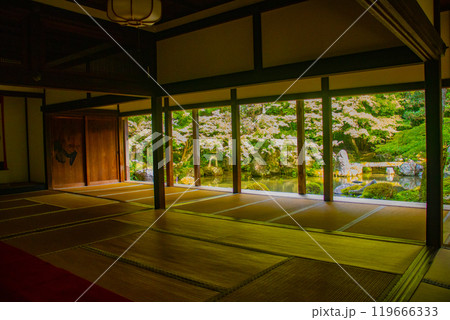 【京都風景】蓮華寺　洛北の静かな池泉式鑑賞庭園 119666333