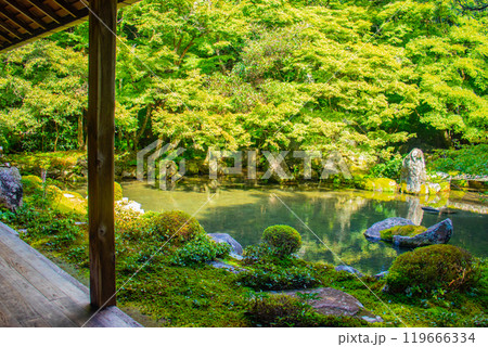 【京都風景】蓮華寺 洛北の静かな池泉式鑑賞庭園 【京都風景】蓮華寺 洛北の静かな池泉式鑑賞庭園 119666334