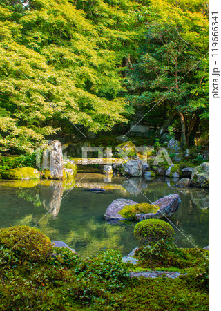 【京都風景】蓮華寺　洛北の静かな池泉式鑑賞庭園 119666341