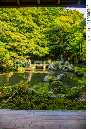 【京都風景】蓮華寺　洛北の静かな池泉式鑑賞庭園 119666342