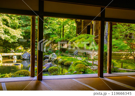 【京都風景】蓮華寺　洛北の静かな池泉式鑑賞庭園 119666345
