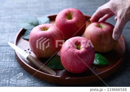 長野県産 シナノスイート ( りんご )黒背景 長野県産 シナノスイート ( りんご )黒背景 119666588