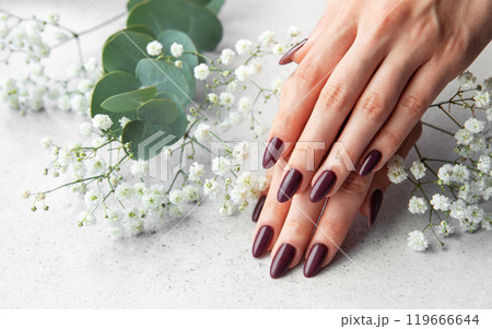 Elegant manicure with deep burgundy nails surrounded by delicate white flowers on a soft surface Elegant manicure with deep burgundy nails surrounded by delicate white flowers on a soft surface 119666644