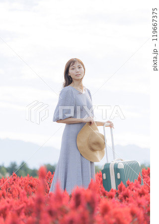 コスモス畑に立つ女性 119667375