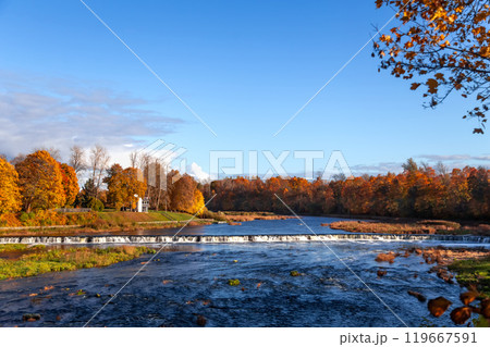 Autumn October landscape with yellowed foliage Autumn October landscape with yellowed foliage 119667591