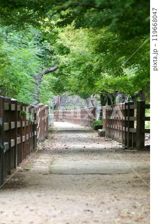 千姫の小径・姫路城(兵庫県・姫路市) 千姫の小径・姫路城(兵庫県・姫路市) 119668047