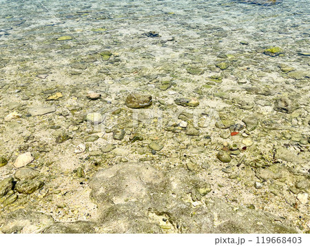 沖縄の海岸と石 沖縄の海岸と石 119668403