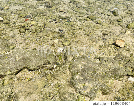 沖縄の海の中の石 沖縄の海の中の石 119668404