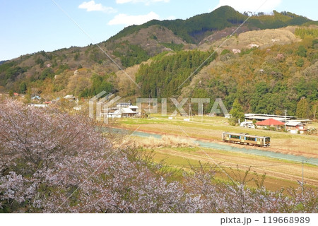水郡線「桜咲く山あいの沿線風景を走る列車」 119668989