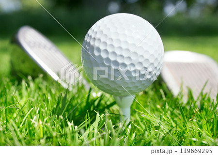 Golf club and ball 119669295