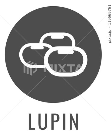 Lupin Bean Legume Food Icon Concept 119669761
