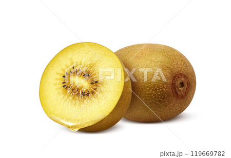 ゴールドキウイ イラスト リアル 白バック 119669782
