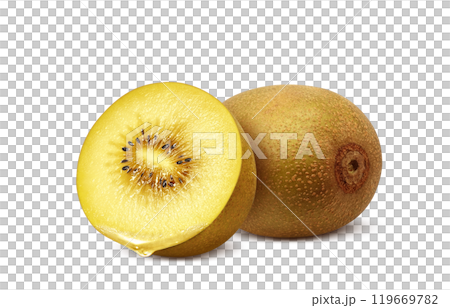 Gold kiwi illustration realistic white background 119669782