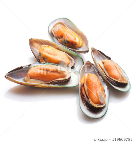 Green shell mussels on white background 119669783