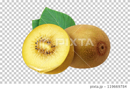 金獼猴桃圖現實白色背景 119669784