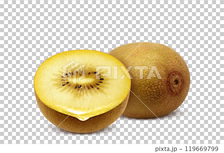 Gold kiwi illustration realistic white background 119669799