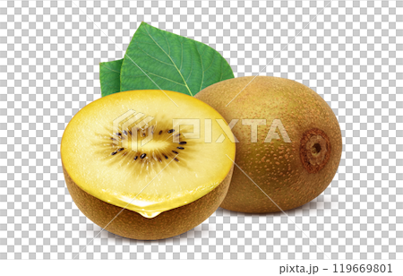 Gold kiwi illustration realistic white background 119669801