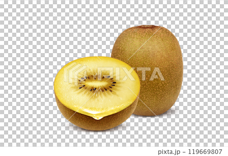 Gold kiwi illustration realistic white background 119669807