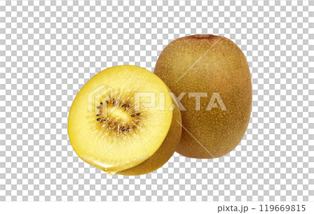 ゴールドキウイ イラスト リアル 白バック 119669815
