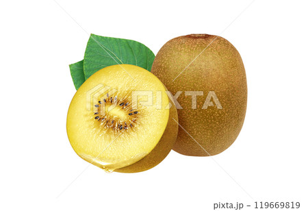ゴールドキウイ イラスト リアル 白バック 119669819