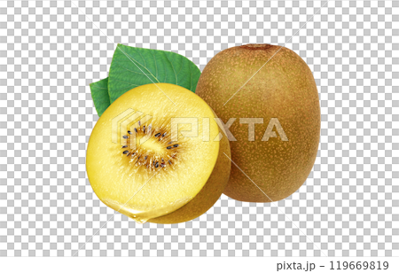 ゴールドキウイ イラスト リアル 白バック 119669819
