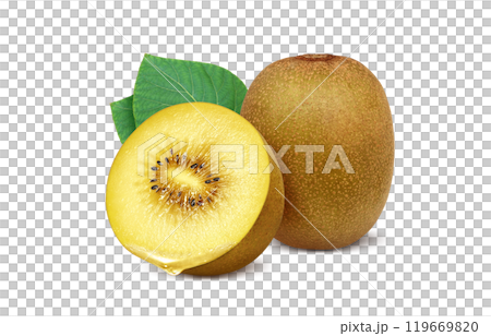 Gold kiwi illustration realistic white background 119669820
