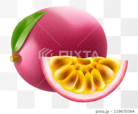 Passion fruit whole fruit and slice isolated on transparent background. Ripe purple passion fruit or passiflora edulis for package design. Realistic 3d Vector illustration of tropical fruits. Passion fruit whole fruit and slice isolated on transparent background. Ripe purple passion fruit or passiflora edulis for package design. Realistic 3d Vector illustration of tropical fruits. 119670364