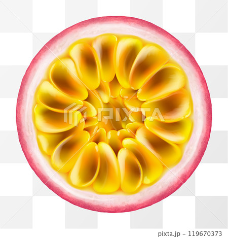 Fresh ripe passion fruit isolated on a transparent background. Passion fruit in section. Fruit with Seeds. Passiflora edulis for package design. Realistic 3d Vector illustration of tropical fruits. Fresh ripe passion fruit isolated on a transparent background. Passion fruit in section. Fruit with Seeds. Passiflora edulis for package design. Realistic 3d Vector illustration of tropical fruits. 119670373