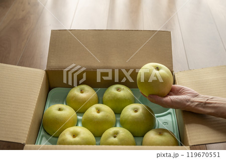 送られてきた梨 送られてきた梨 119670551