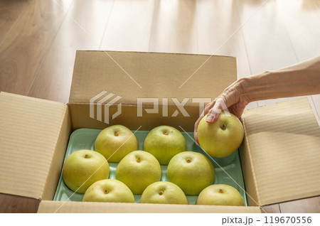 送られてきた梨 119670556