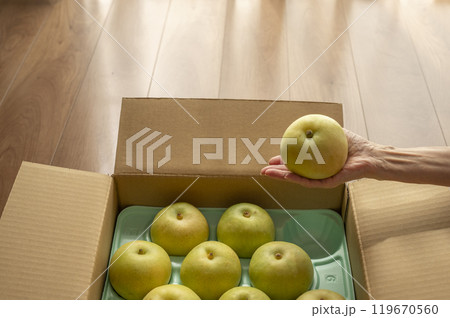 送られてきた梨 119670560