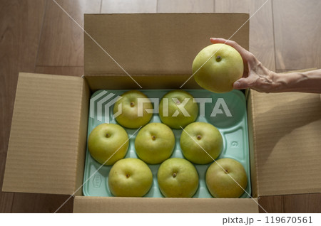 送られてきた梨 119670561