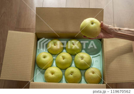 送られてきた梨 送られてきた梨 119670562