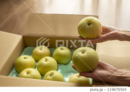 送られてきた梨 119670565