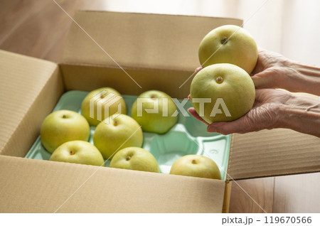 送られてきた梨 119670566