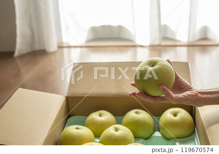 送られてきた梨 送られてきた梨 119670574