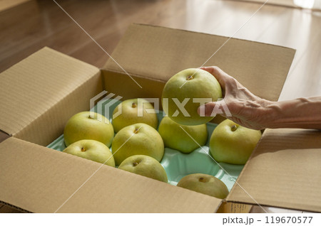 送られてきた梨 送られてきた梨 119670577