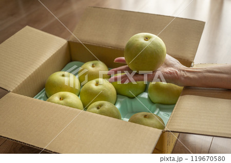 送られてきた梨 119670580