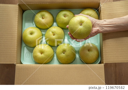 送られてきた梨 119670582