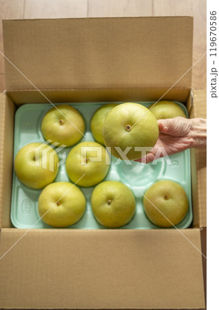 送られてきた梨 119670586