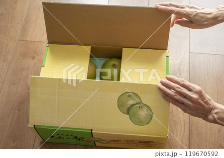 送られてきた梨 119670592